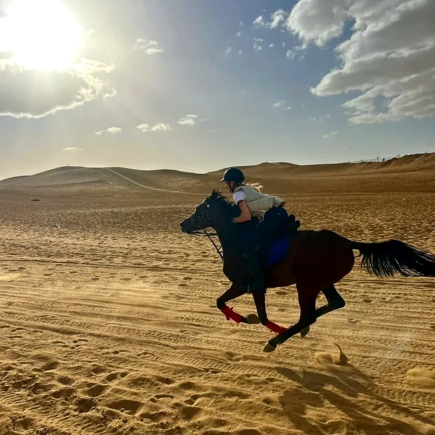 Delfina galloping on a dark Arabian horse through the Sahara desert