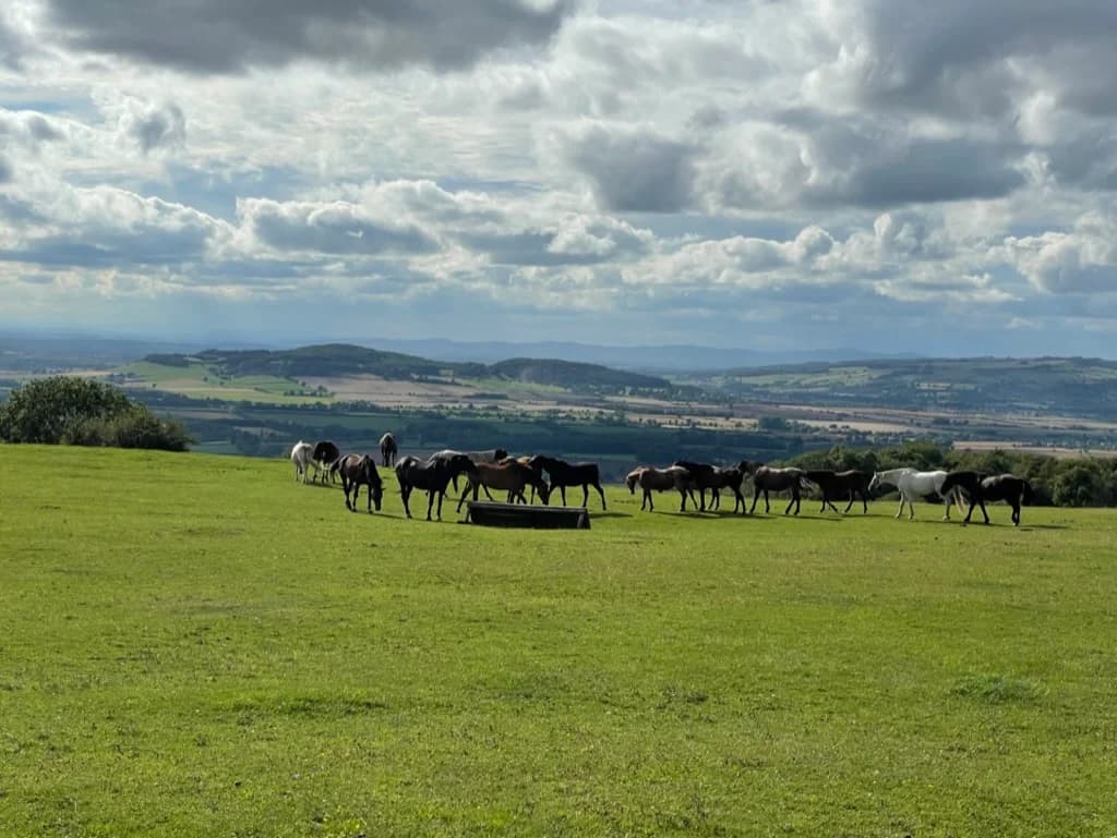 Cotswolds Riding at Jill Carenza Equestrian